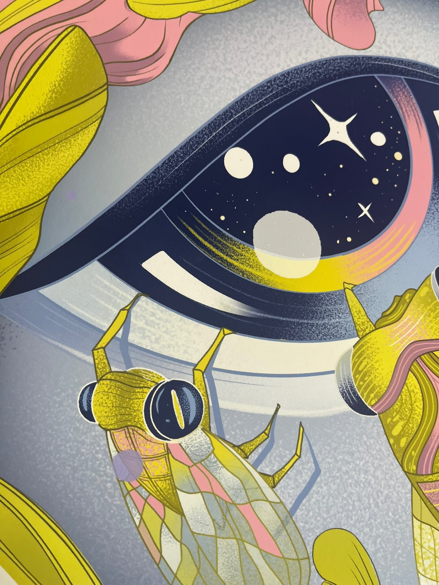 "Cicada" Giclee print